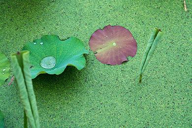 小岛秀夫想要制作电影和音乐